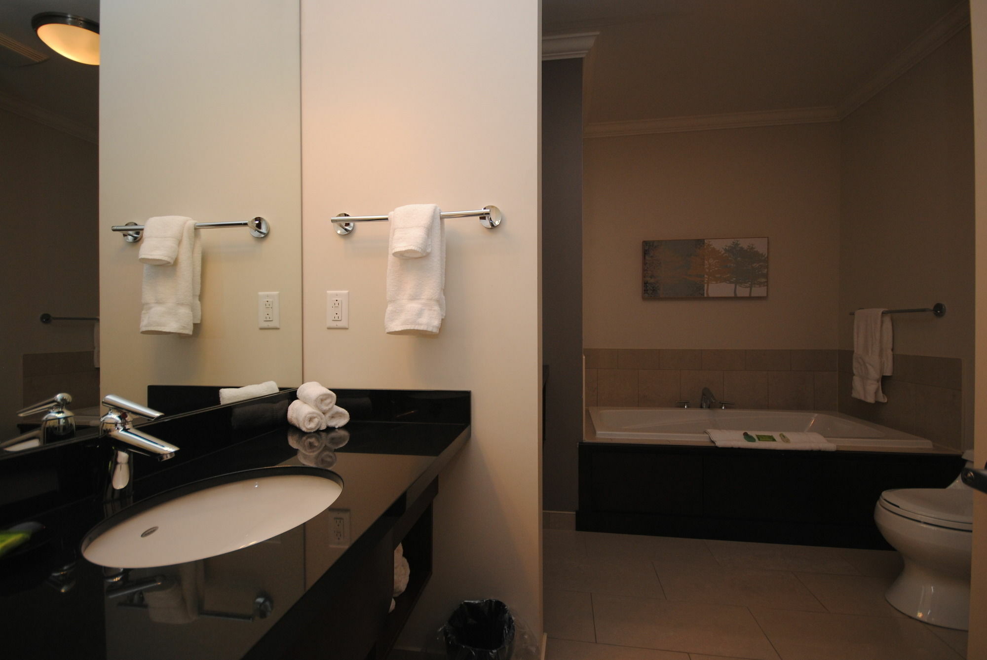 Premiere Suites - St. John'S Signal Hill Gate Extérieur photo